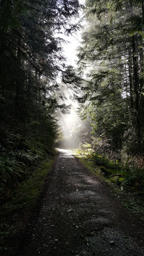 Tourist Attraction «Melmont ghost town», reviews and photos, Carbon River Rd, Carbonado, WA 98323, USA