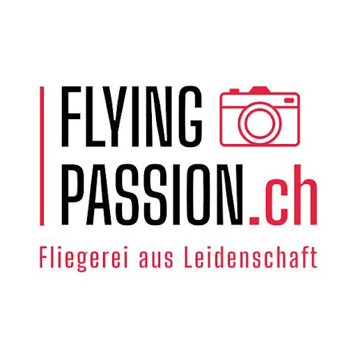 Flying Passion - Die Cast Modelle & Fliegerartikel logo