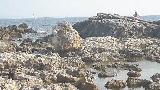 La Baracchina