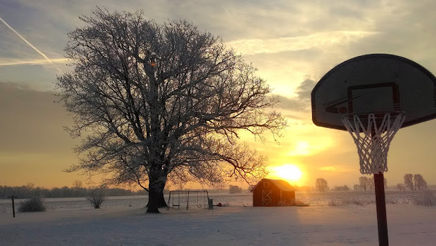 Cover photo