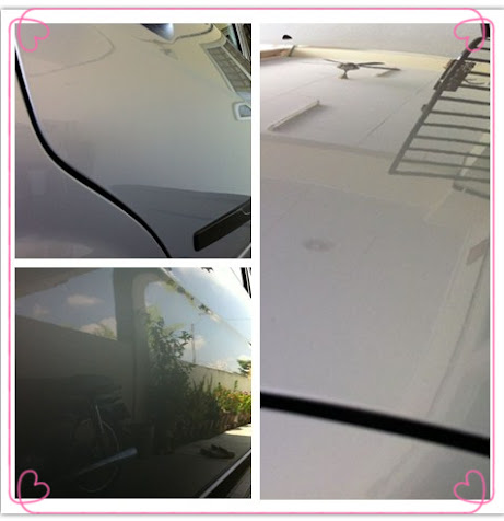 AIRCRAFT GRADE Permanon now available! Mobile Grooming/DIY! - Page 10 1