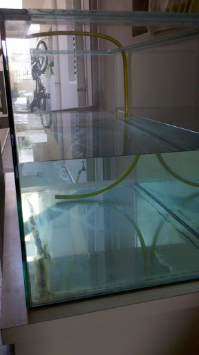 Novo aquário do Junior - 275l IMG_20120309_150256