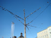 DSC03702.JPG