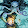 Kawika Kaikala Kawika Kaikala's profile photo
