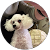 伊藤正樹 伊藤正樹