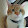 Hiroshi Toyota Hiroshi Toyota's profile photo