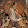 Terry Moore Terry Moore's profile photo