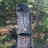 Brian Robertson avatar image