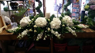Photos of Eden, flowers by Gemma