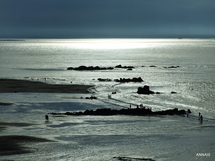 En ruta por la mágica Bretaña - Blogs de Francia - Con el mar en el horizonte (16)
