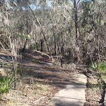 Path down from Berowra (71962)