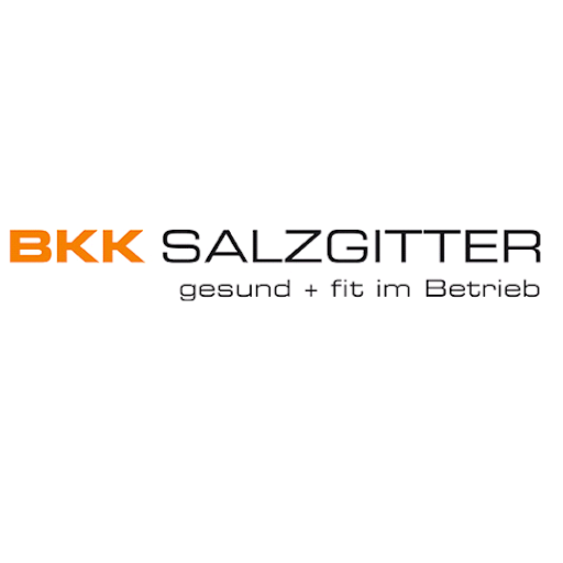 BKK Salzgitter logo