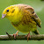 Yellowhammer Dialects