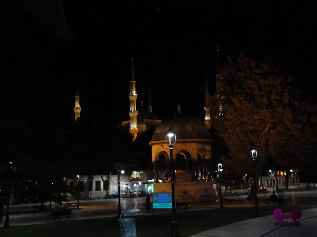 Simplemente Estambul - Blogs de Turquia - Prologo y llegada 23/0912 (5)