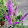 Gabby Jimenez Gabby Jimenez's profile photo