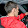 Adrián Losada Adrián Losada's profile photo