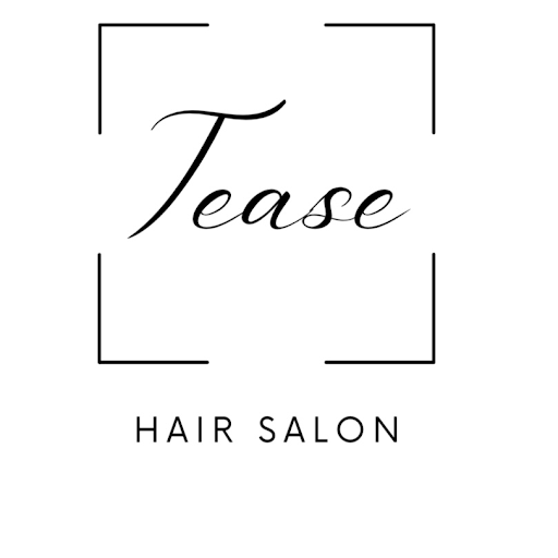 Tease Hair Salon logo