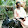 Nirob Khan Nirob Khan's profile photo