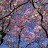 E Summers avatar image