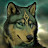 Caroline Truitt avatar image