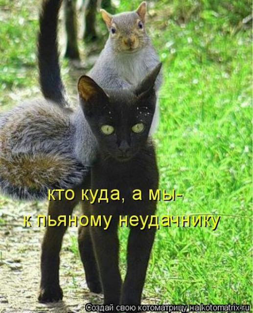 Ни дня без улыбки. Афоризмы от Александр Дюма (сын) Ни дня без улыбки. Афоризмы от Александр Дюма (сын)