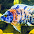 Rajesh Nair avatar image