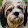 Wilfried Hampe Wilfried Hampe's profile photo