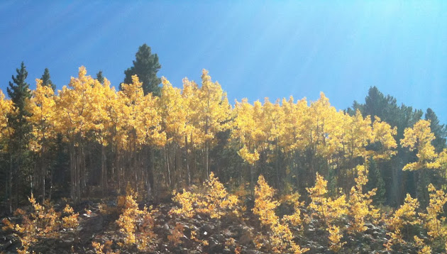 Cover photo