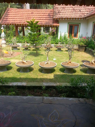 Plr gardens, puspagiri main road ,, padappai post, Chennai, Tamil Nadu 601301, India, Plant_Nursery, state TN