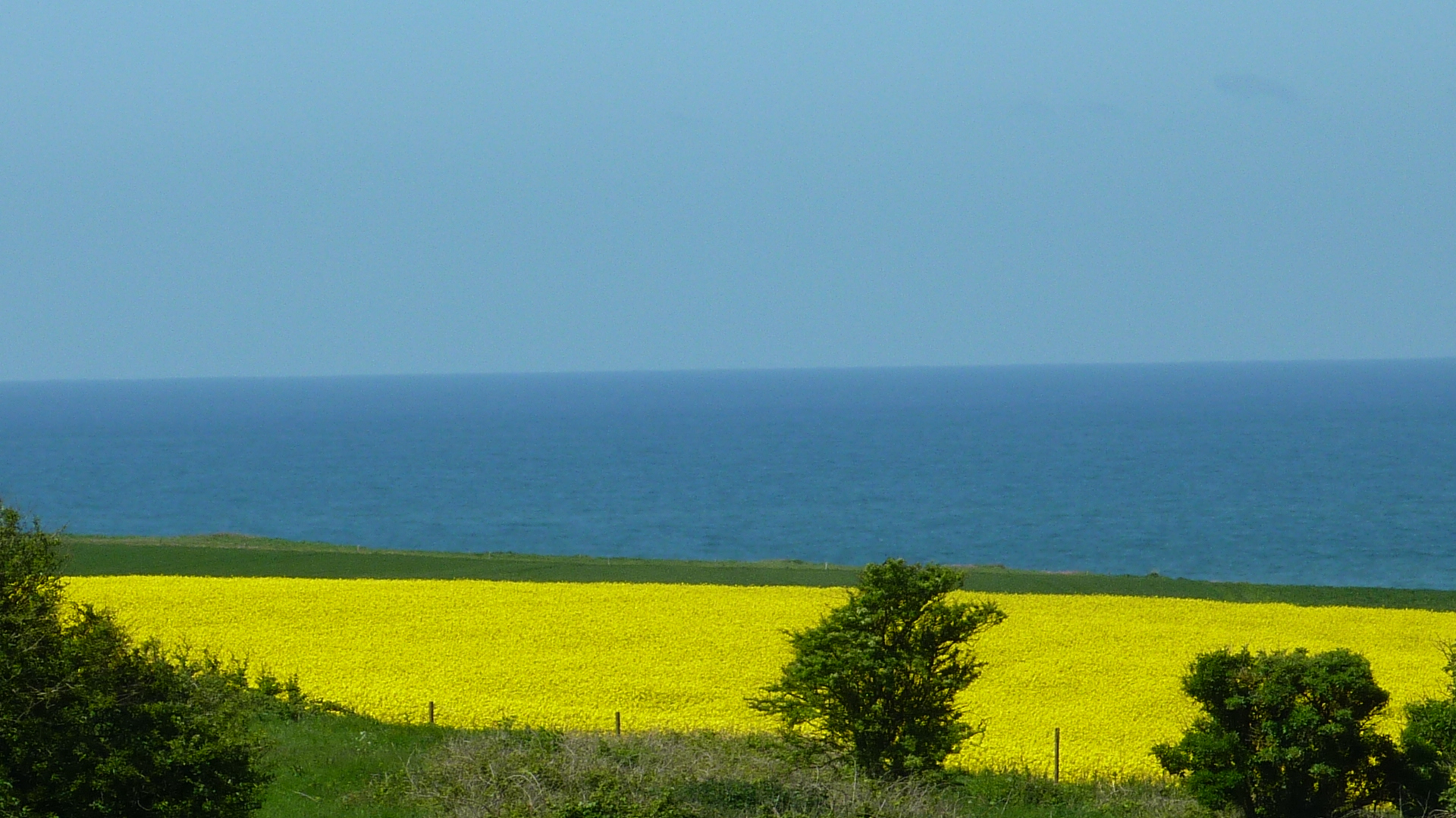 Small Public Square: Dunkirk and the Atlantic Wall