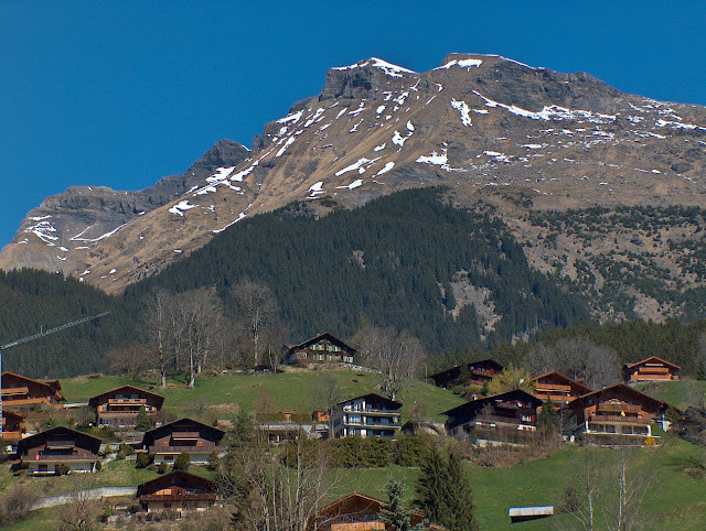 SUIZA.Grindelwald y Lauterbrunnen - Alsacia , Suiza y Selva Negra (1)