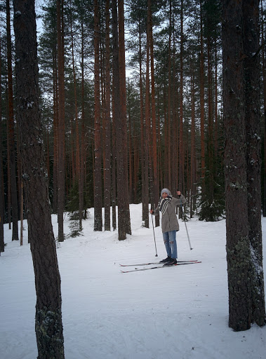 Зеленогорск ленина 1. Азимут Зеленогорск. Зеленогорск зимой развлечения. Азимут бегства. Азимут Новокузнецк.