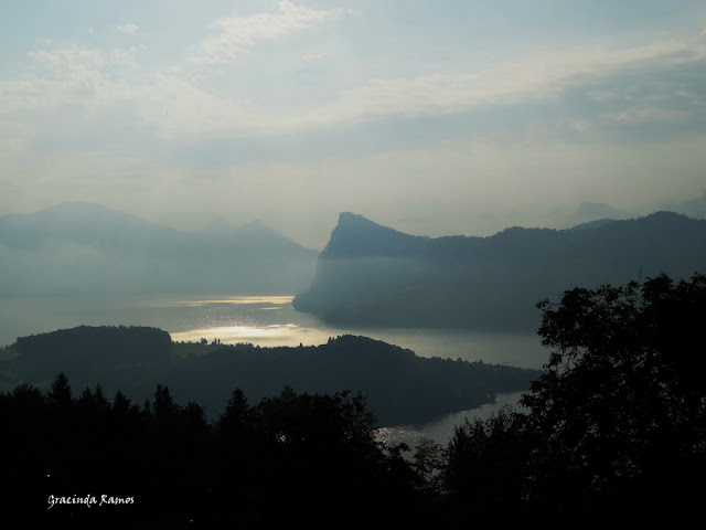 passeando - Passeando pela Suíça - 2012 - Página 13 DSC04447