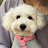 Hyewon Kim avatar image