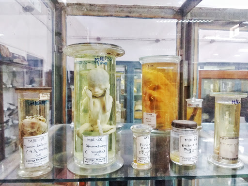 Zoology Museum, Zoology Lab, AMU Campus, Aligarh, Uttar Pradesh 202001, India, Museum_of_Zoology, state UP