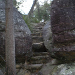 Steps on Bungaroo track (24519)