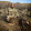 Rob T. Rob T.'s profile photo