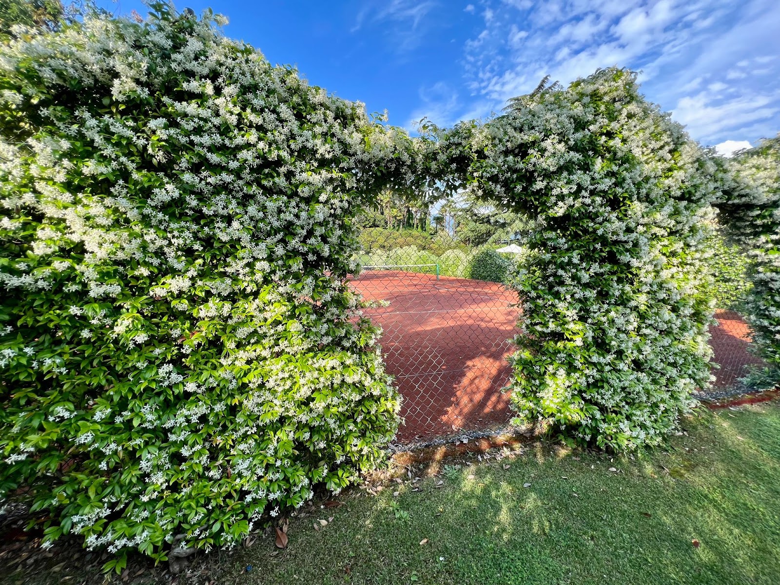 a gate to a fence