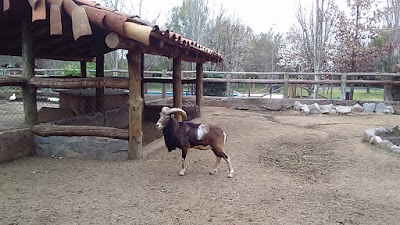 Photos of Lampa Zoo Zoo