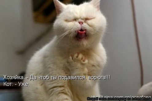 Ни дня без улыбки: начался июль... Ни дня без улыбки: начался июль...