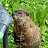 J D'P avatar image