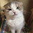 Londo Molarii avatar image