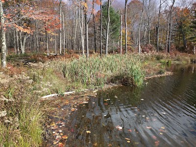 Photos of Beebe Hill State Forest