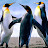 Jacqueline Nalwoga avatar image