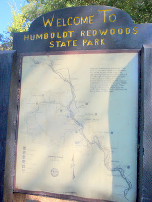 Sign at roadside stop before entering the Avenue of the Giants