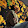 Jorgelina Marcovesky Jorgelina Marcovesky's profile photo