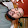 joshua lynch joshua lynch's profile photo