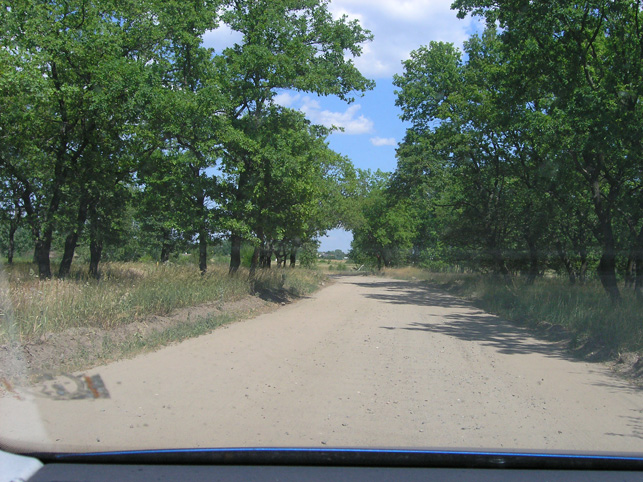 Один мой день.