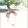 Gerson Nogueira Gerson Nogueira's profile photo