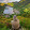 imam rusdianto imam rusdianto's profile photo